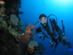 Diver spearfishing off of Guantanamo Bay, Cuba. Canon G2,... by John Thompson 